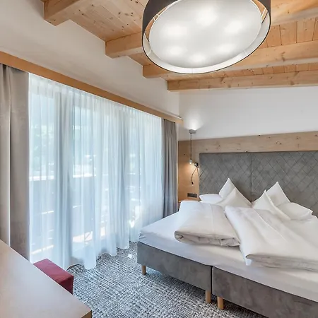 Grauer Baer 4*